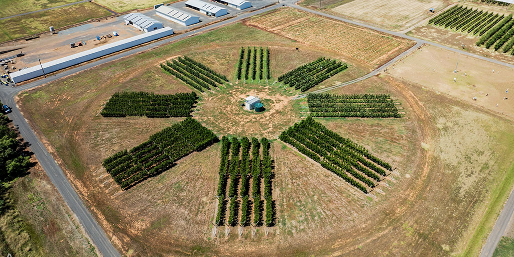 Research at Vic Hub partner <a href="/VicGovAg/">Agriculture Victoria</a> Tatura SmartFarm. AgVic is one the four Vic Hub partners working on the project, which includes <a href="/UniMelb/">University of Melbourne</a> (project lead), <a href="/FedUniAustralia/">Federation University</a> (Digital Platforms Innovations lead) and the Mallee Regional Innovation Centre

vicdroughthub.org.au