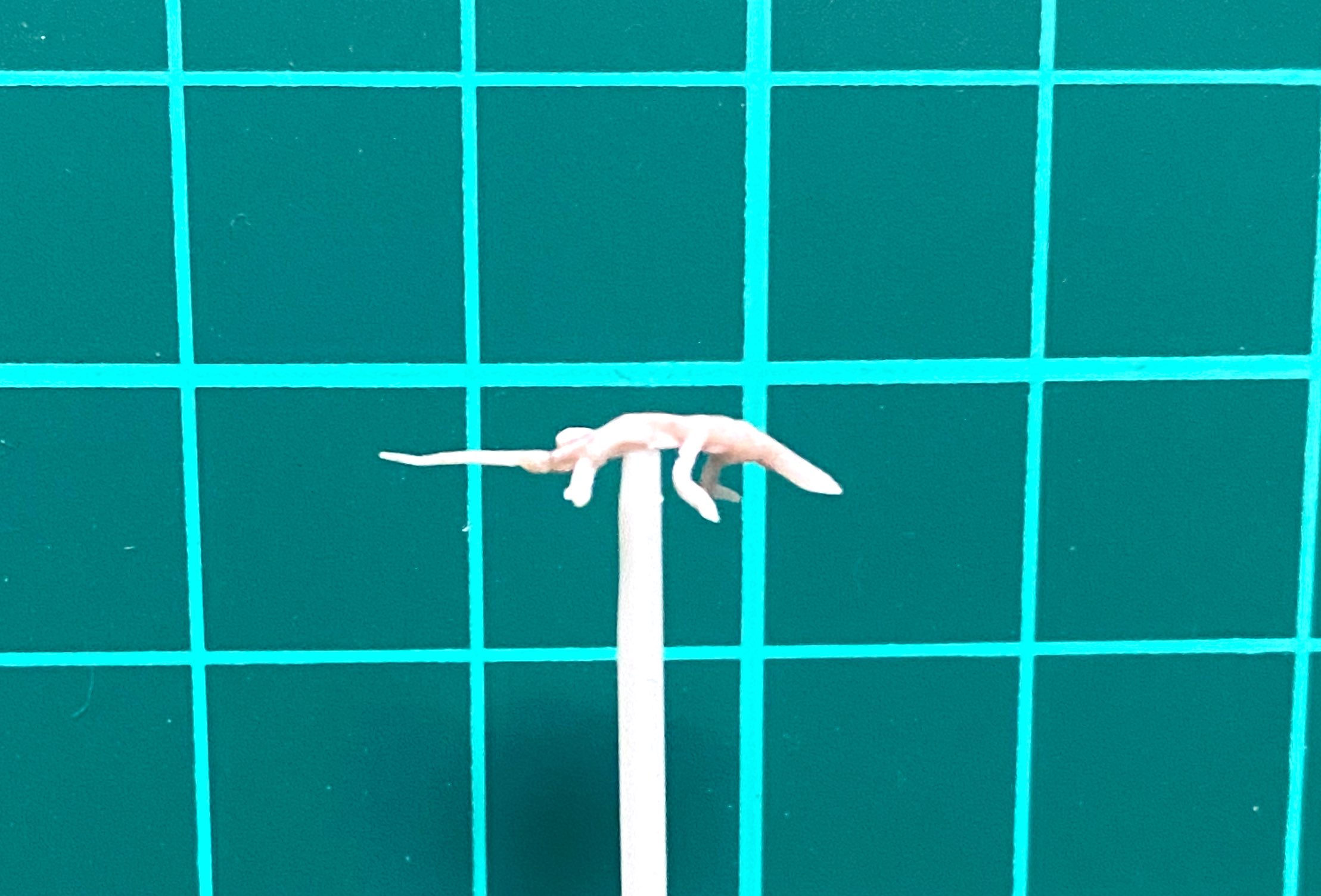 みーやびん on X: 