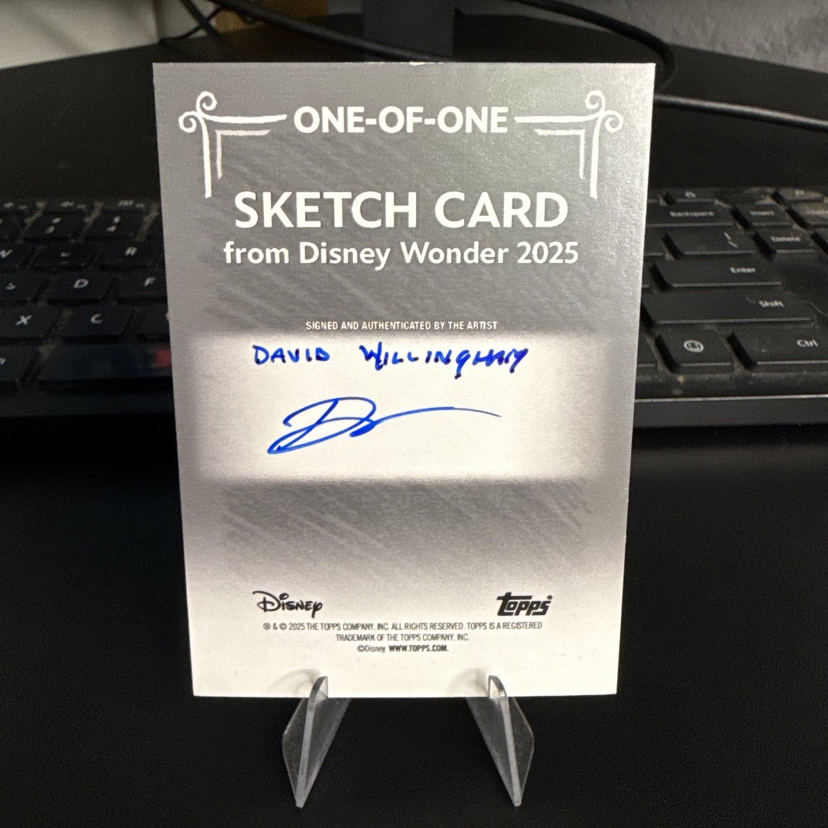 1st Disney Wonder Sketch Card Pull