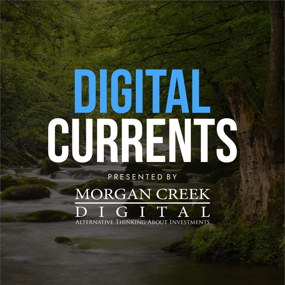 Morgan Creek Digital (MCD) tweet media
