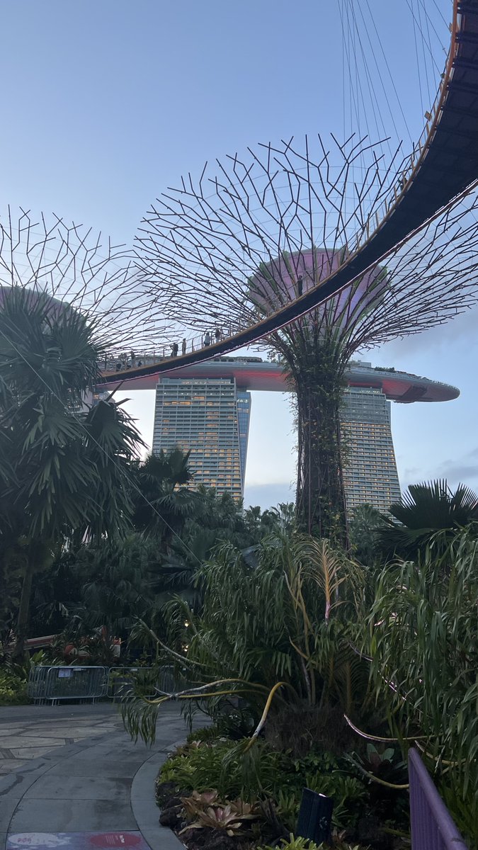 محمد البريكـــــي tweet media