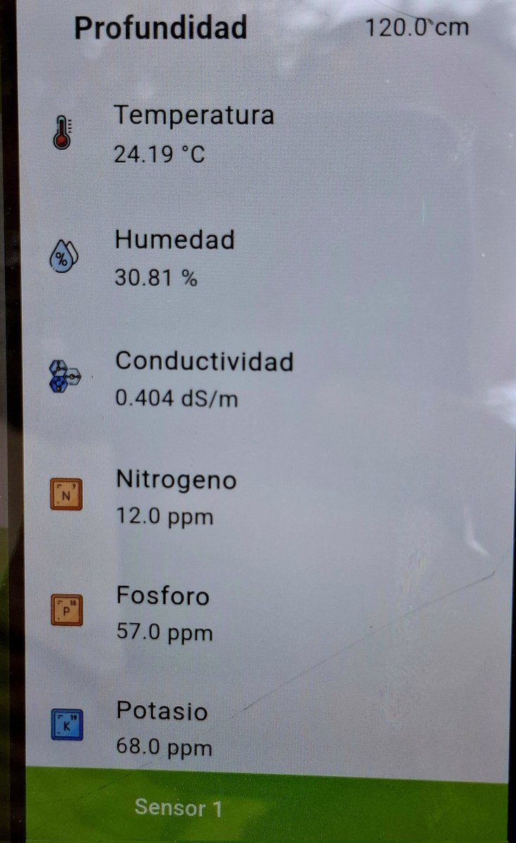 Buena floracion y cuaje en arbequina

#olivos
#AOVE
#Aceitunas