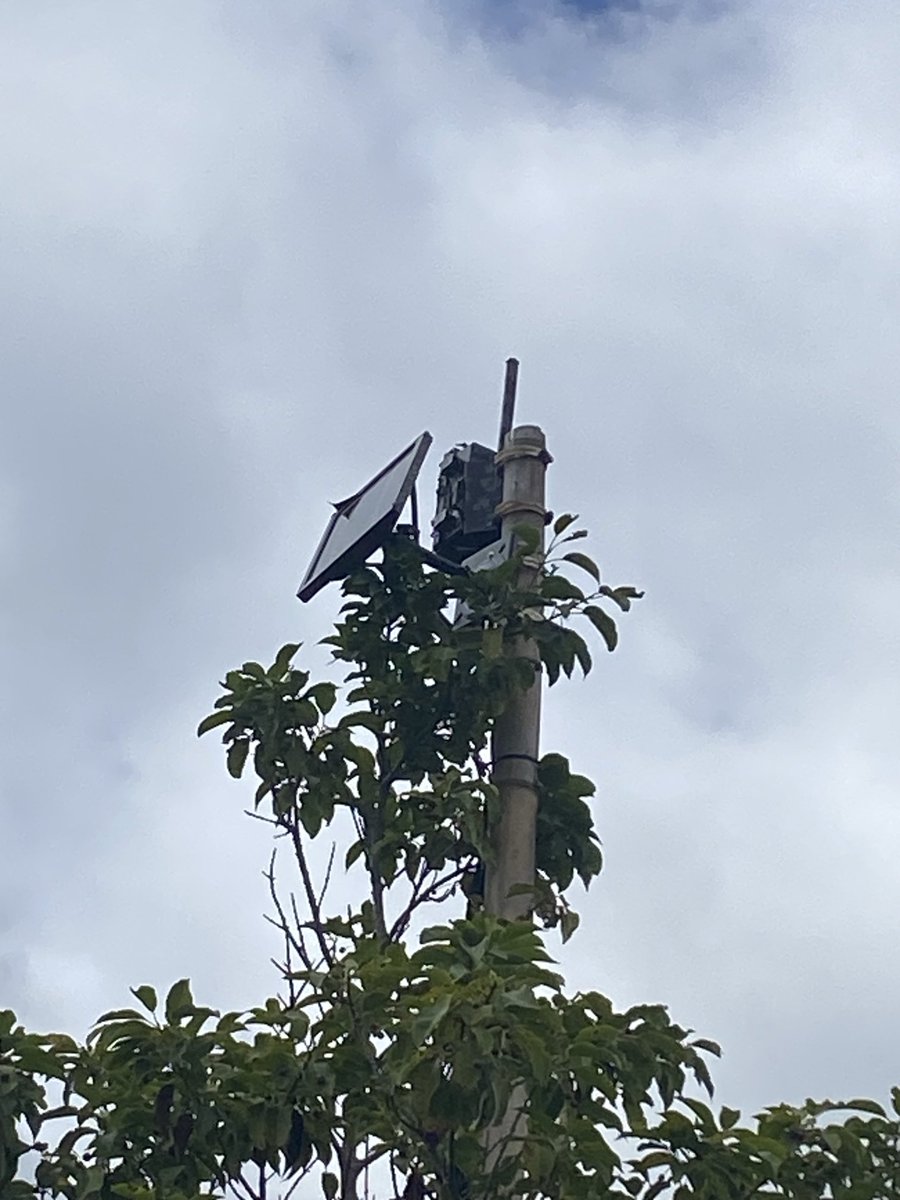 kibun2's tweet photo. 姫路で低山歩きしたらこんな無線機が設置してありました。
なんかのレピータですかね。

鬢櫛山・高岡山・籾取山・井ノ口山・苫編山
https://t.co/EmUrL5GrZI https://t.co/xNniVnmqR8