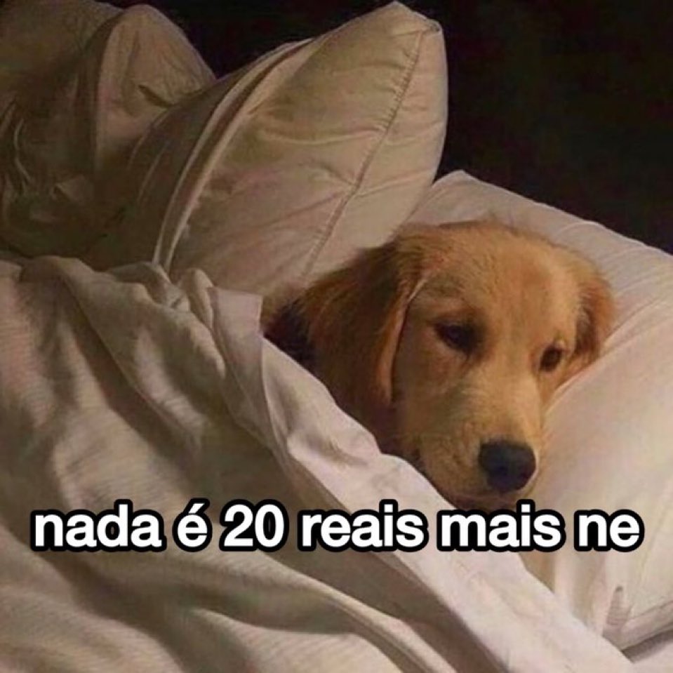 euovitinn's tweet image. nada kk