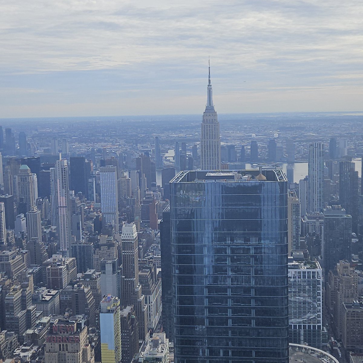 Thomas Porteous tweet media