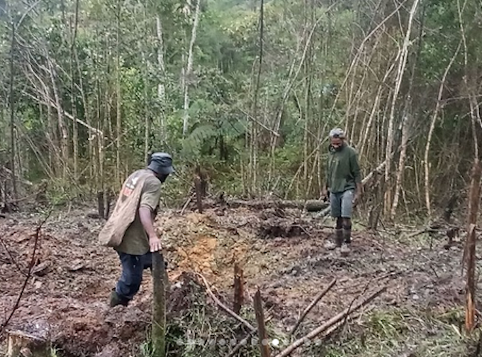 DavidRobie's tweet photo. Wenda accuses Indonesian troops of bombarding village in Star mountains #asiapacificreport #ulmwp #WestPapua #indonesia @BennyWenda #kiwirok @PACNEWS2
https://t.co/WyOdT822uw https://t.co/hSmLCtmaGp