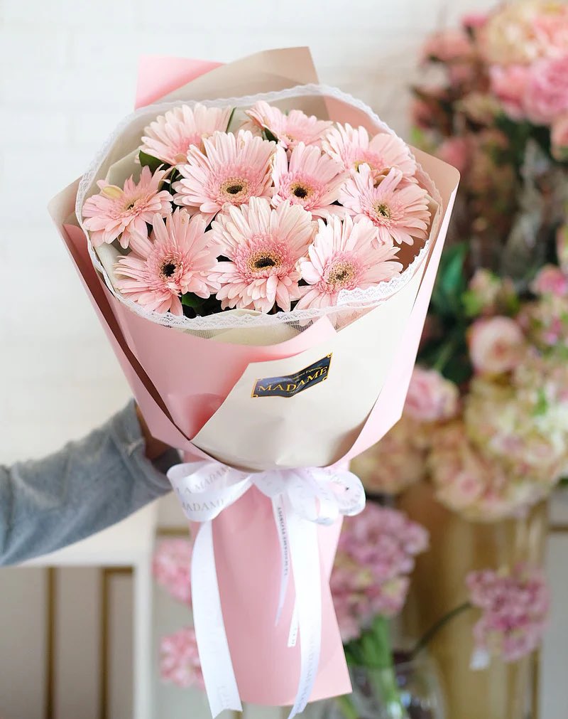 You vs Your favorite flower 🌸🪷 
GERBERA DAISIES! 
They are so expensive but so gorgeous 😭