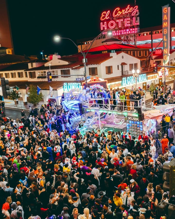 DISCOPUSSY tweet media