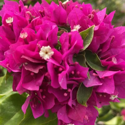 ftftyuyugf's tweet photo. #صورة_جديدة_للملف_الشخصي https://t.co/X611T3toMa
