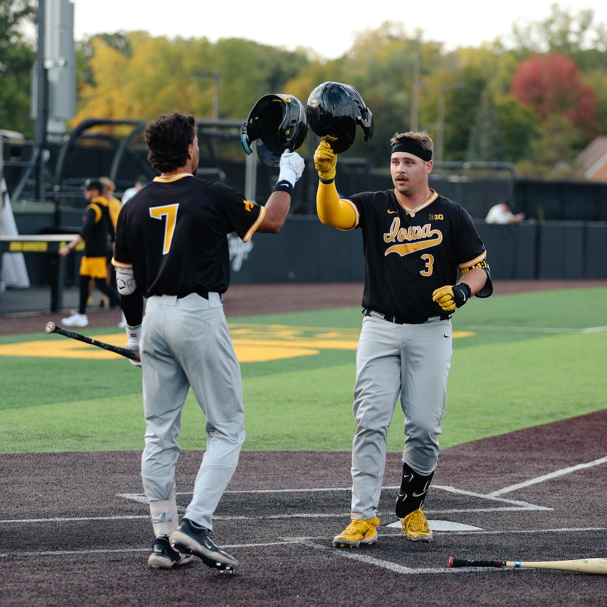 Iowa Baseball tweet media