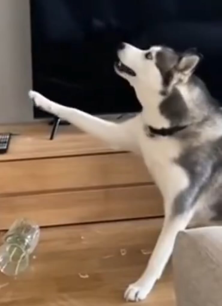 Resypto 🫟 tweet media