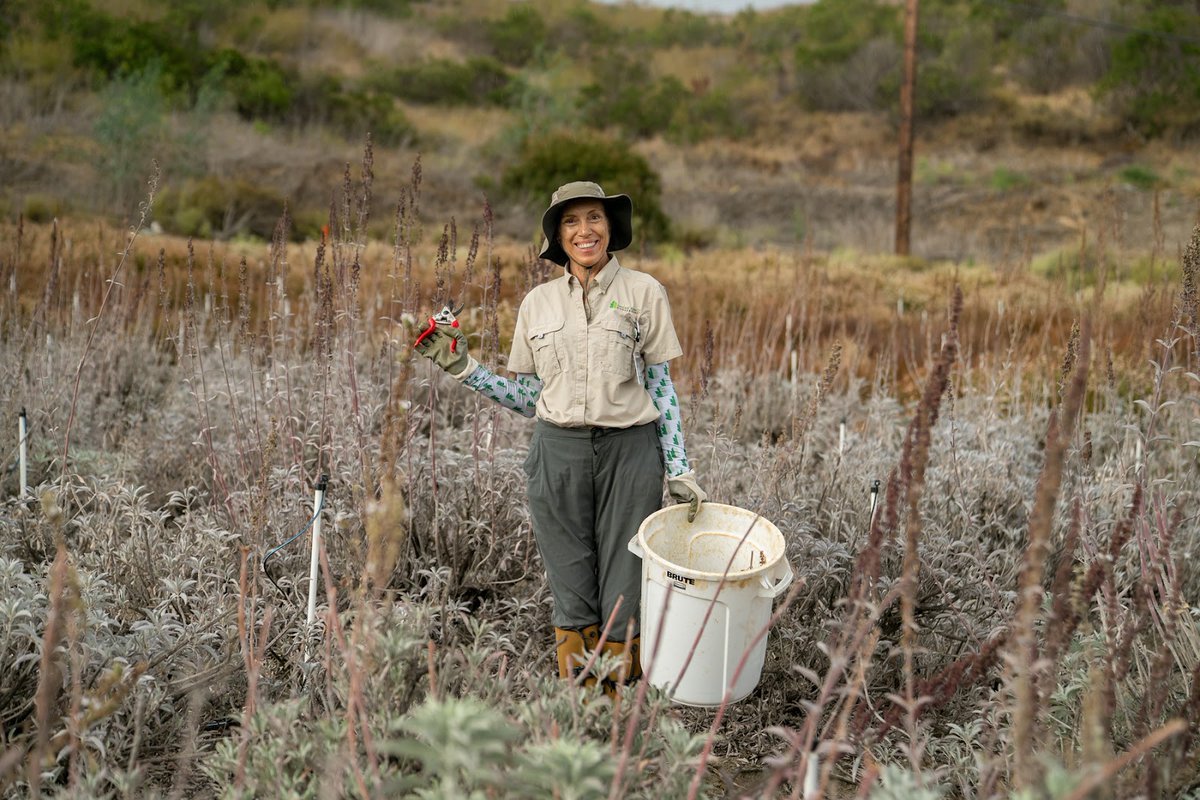 Conservation in Orange County is powered by people. ✨ Trained volunteers lead stewardship activities, restore habitats, support local parks and even help protect against wildfire risks.

bit.ly/4nSBCPz