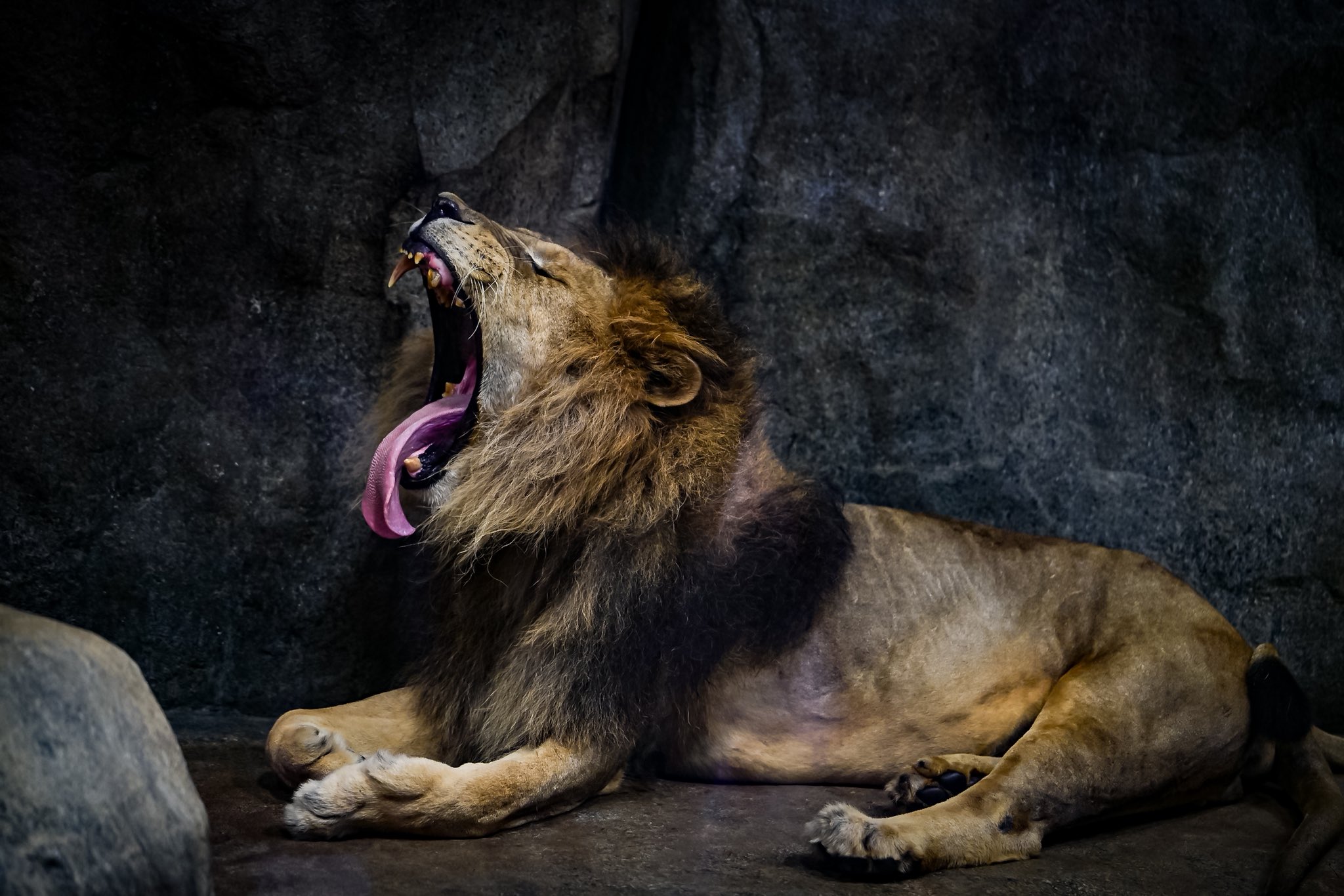 ヤッさん　TAMRON 20250807152353_145_.jpg