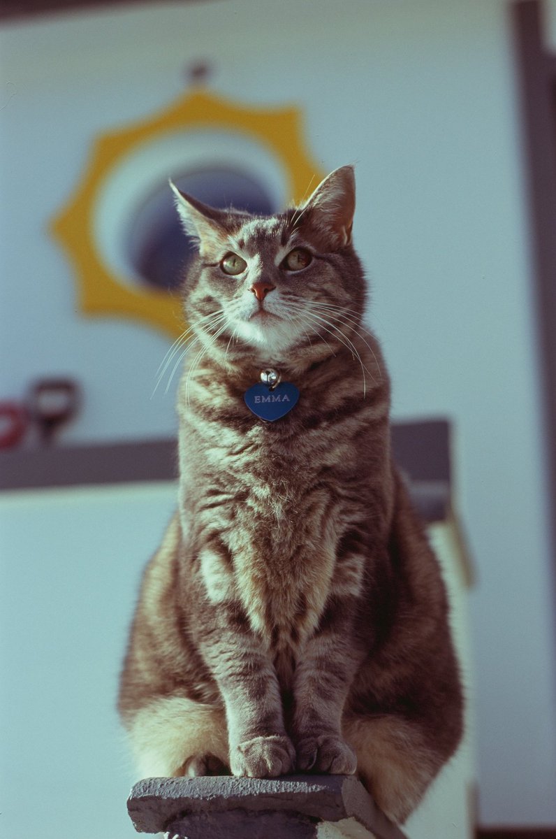 some of of my final pictures of emma and alex at our old home on velvia