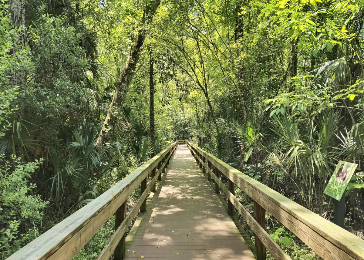 Florida Sea Watch tweet media