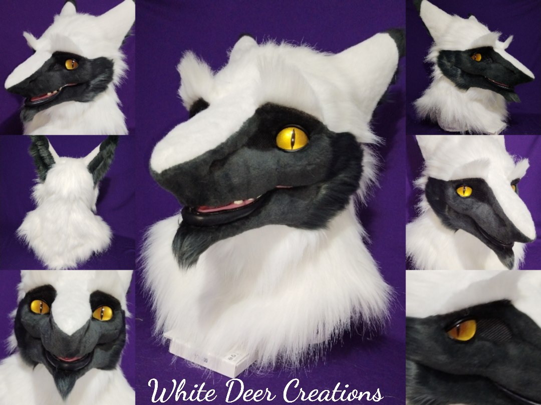 creations_deer's tweet photo. The next family member, Arzyfer(@arzyfer), made and delivered in 2024 🧀☀️

 Made with the base of @DvC_Ciara 

#fursuit #furryartwork https://t.co/nWiVZ1Jo8A