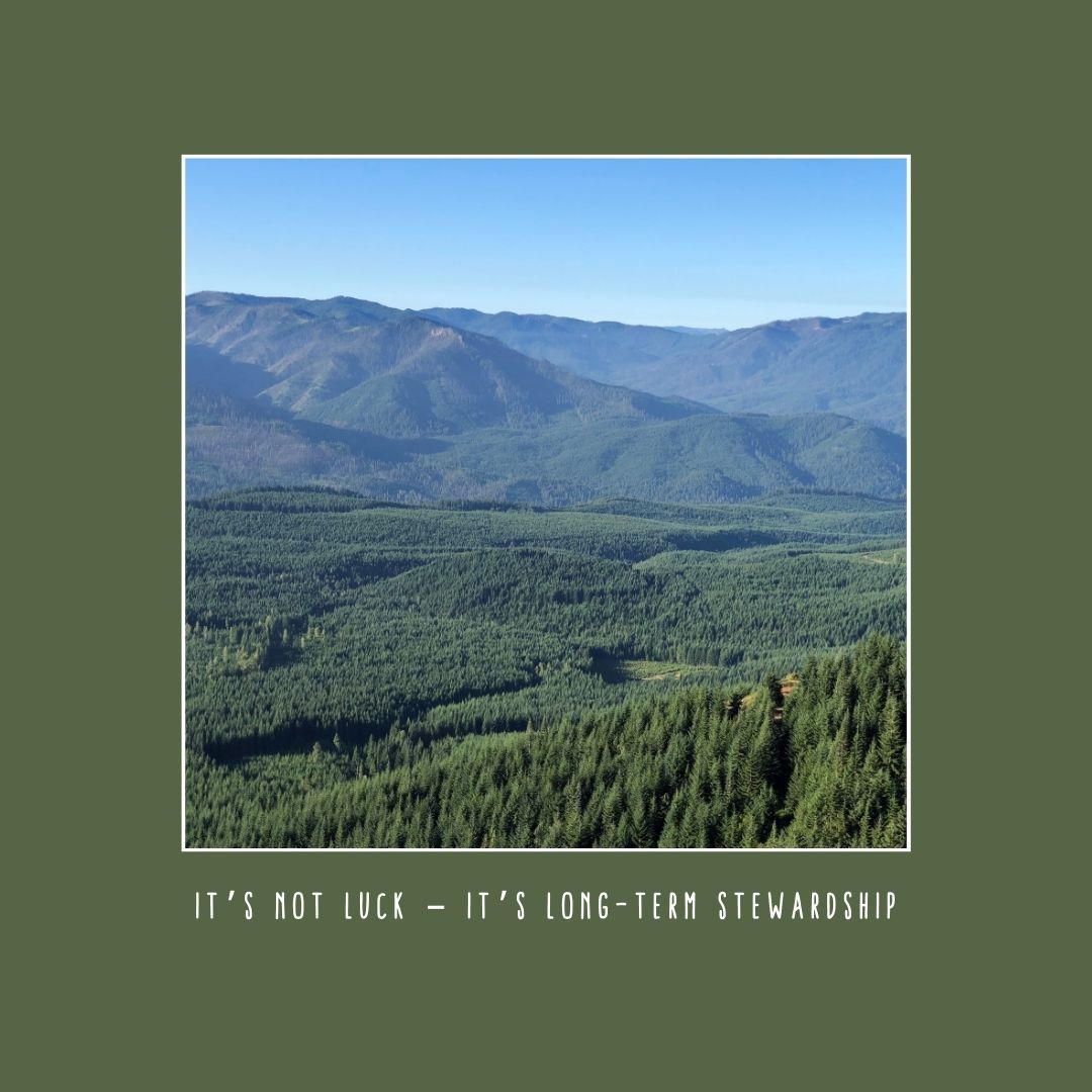 US forest cover has remained stable since the 1950s — even as population &amp; development have surged. That’s no accident. Through sustainable forest management, America’s forests remain some of the most abundant &amp; productive in the world. #workingforests #ModernAmericanForestry