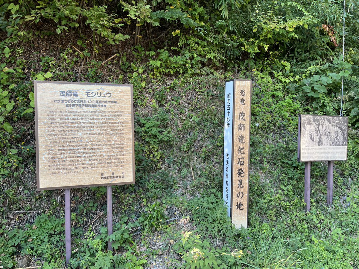hotel_sanyo1's tweet image. 10月15日でもう一つ紹介したかったのが「化石の日」🦖
岩手県には、日本で最初に見つかった恐竜の化石「モシリュウ」があるんです!
この発見をきっかけに、日本各地で恐竜化石の調査が進んだそうですよ。
レプリカは岩泉小本駅に展示されています。
#岩手 #化石の日 #恐竜