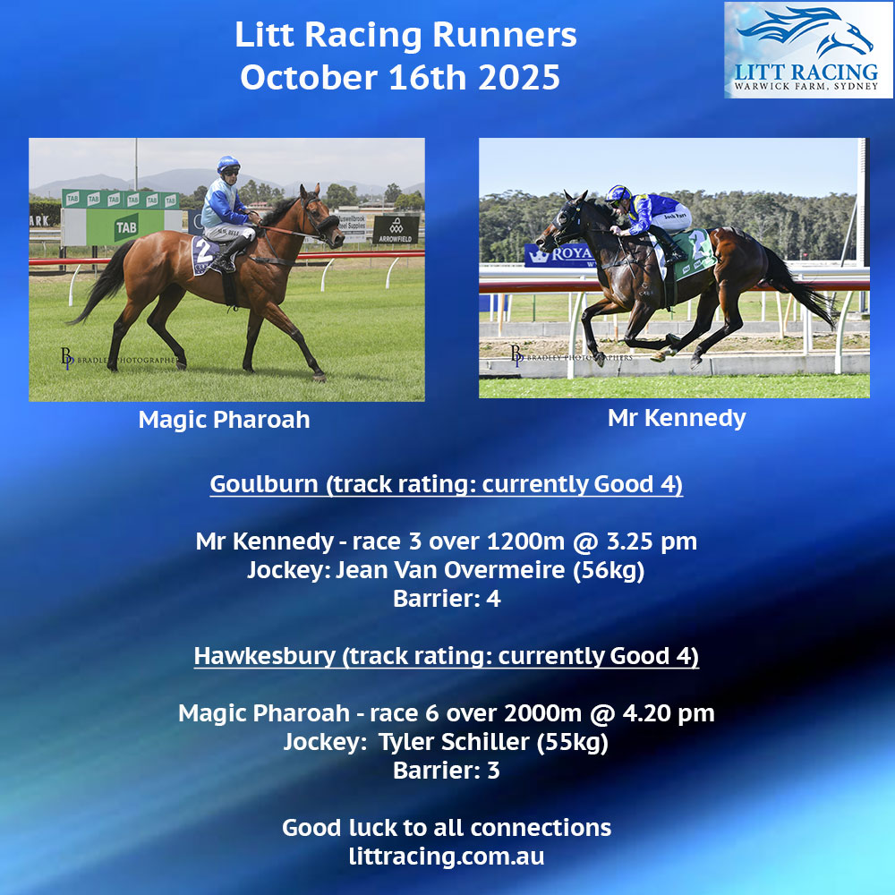 The team heads to Goulburn and Hawkesbury today with two runners. MR KENNEDY drops back in grade over 1200m, and MAGIC PHAROAH steps up in trip to 2000m. Good luck to all connections, our horses and their jockeys.