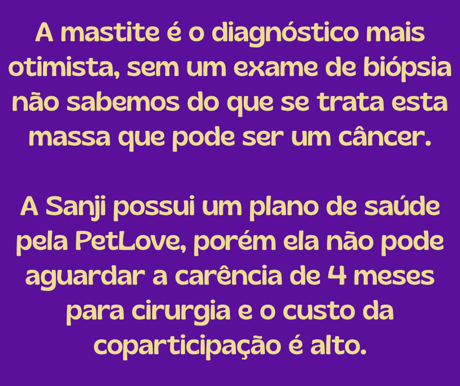 Sanji_Luna's tweet photo. A mastite é o diagnóstico mais otimista, mas sem um exame de biópsia não sabemos do que se trata esta massa que pode ser um câncer.
A Sanji possui um plano de saúde pela PetLove, porém ela não pode aguardar a carência de 4 meses para cirurgia e o custo da coparticipação é alto. https://t.co/OWrBzhuLC2