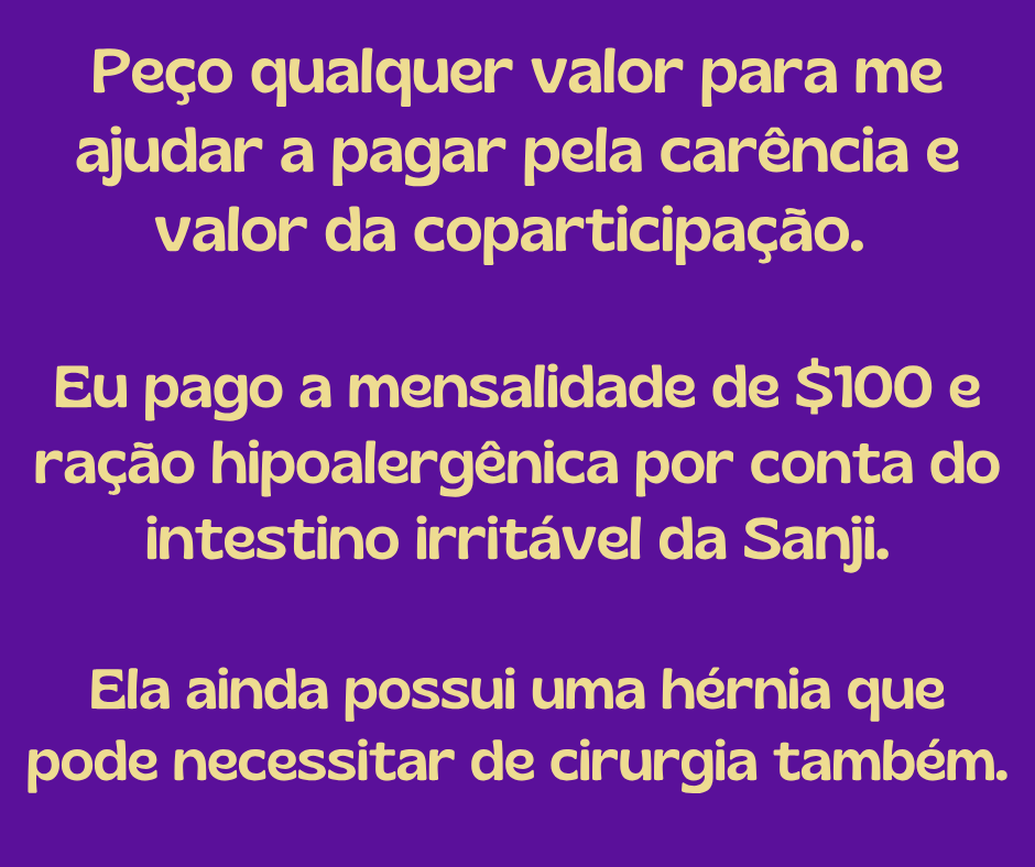 Sanji_Luna's tweet photo. Peço qualquer valor para me ajudar a pagar pela antecipação da carência e valor da coparticipação.
Eu pago a mensalidade de $100 e ração hipoalergênica por conta do intestino irritável da Sanji.
E ela ainda possui uma hérnia que pode necessitar de cirurgia também. https://t.co/k9BMWdnyX6