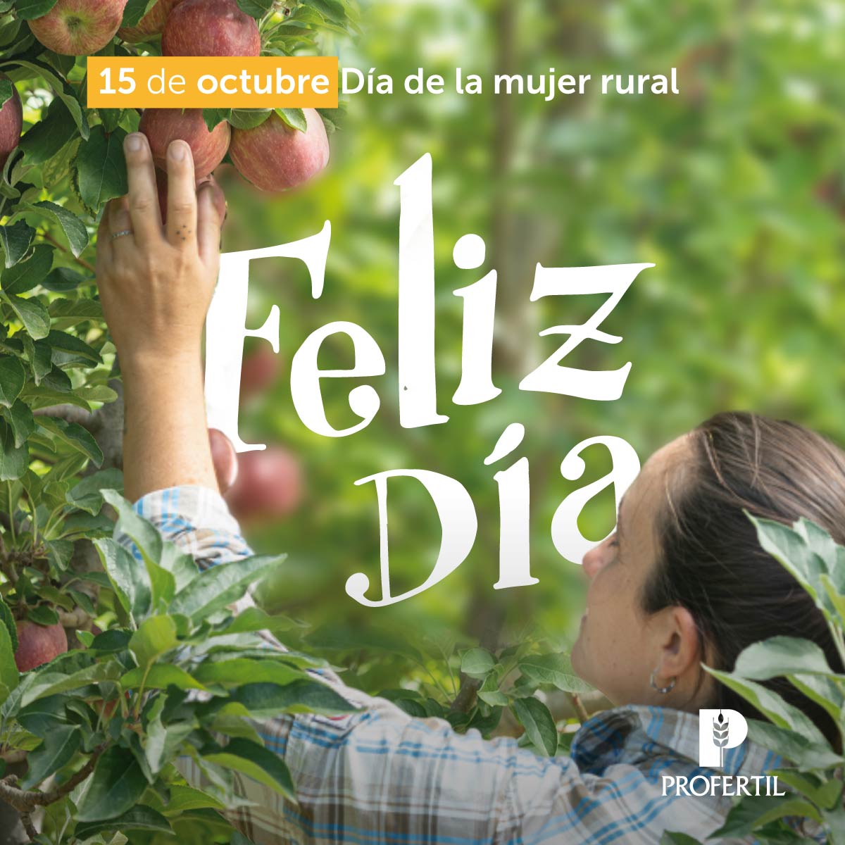 ¡Feliz día de la Mujer Rural! 👩‍🌾