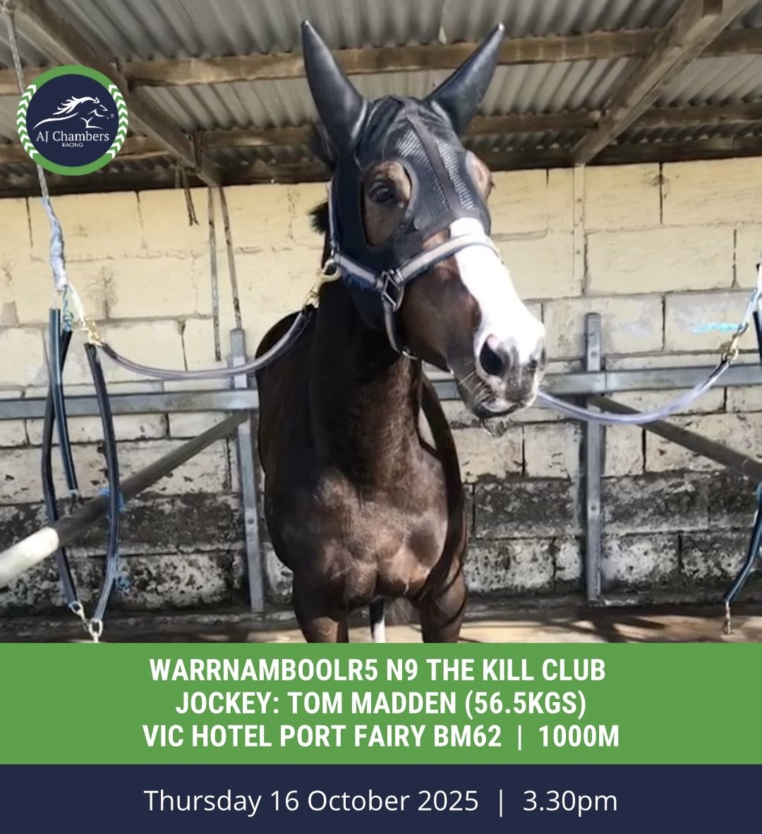 Today we have THE KILL CLUB resuming at <a href="/wboolracingclub/">Warrnambool Racing Club</a>, following a strong racing prep earlier in the year at Mt Gambier. She’ll be better for today’s run, but we’re hoping she can still put in a nice showing. Good luck to connections!