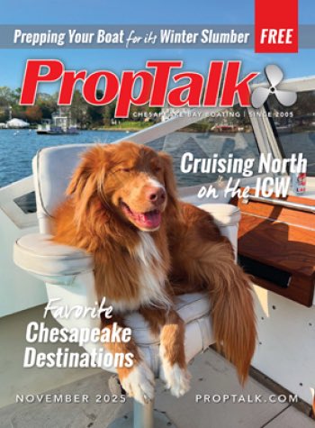 S_Mathuin's tweet image. Pals, 
Dis handsome guy was on da cover of a local boating magazine. He reminds me of one of our pals. His name is Dodger and he is a Toller.