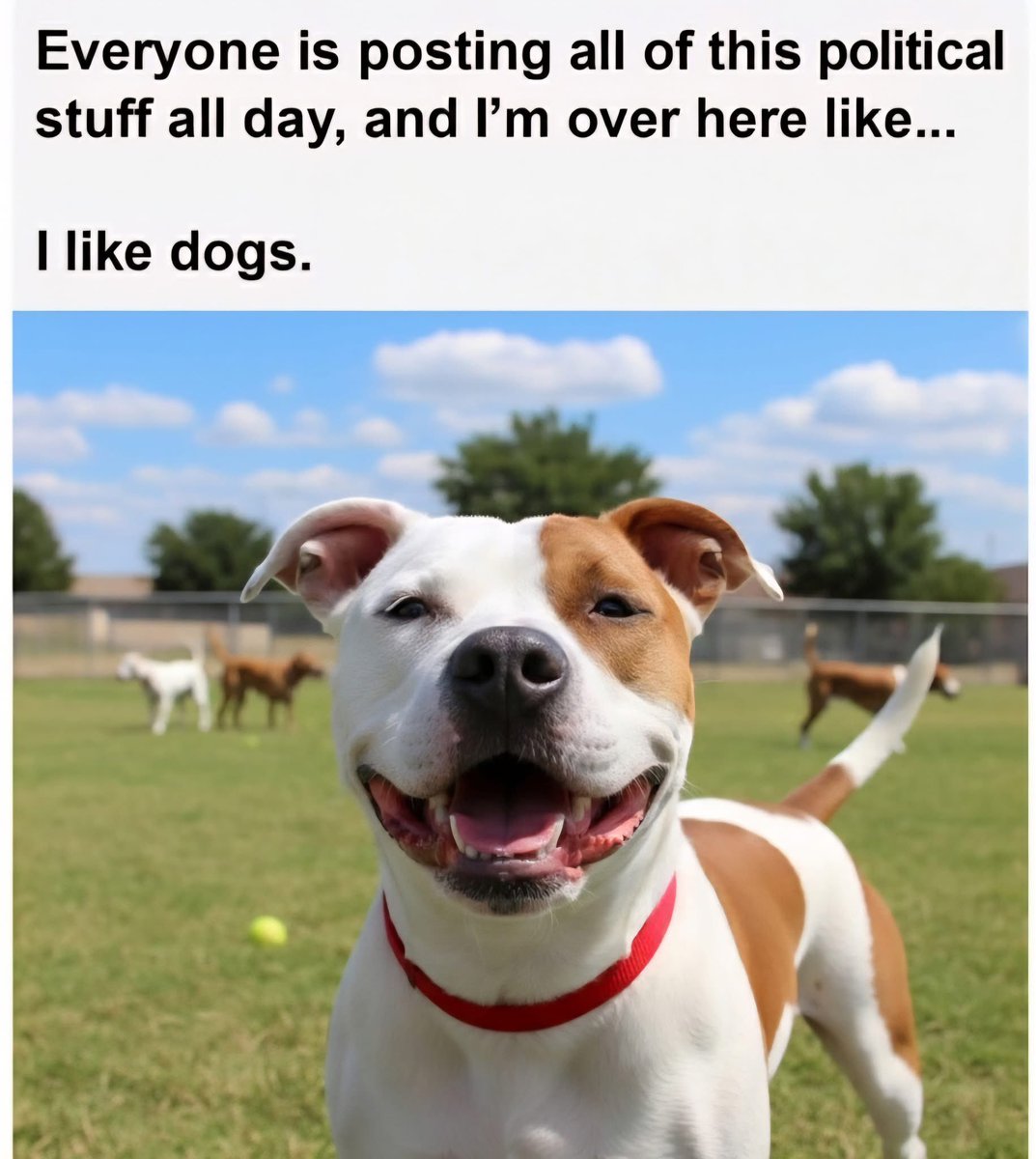 Puppies 🐶 (@puppiesiover) on Twitter photo 