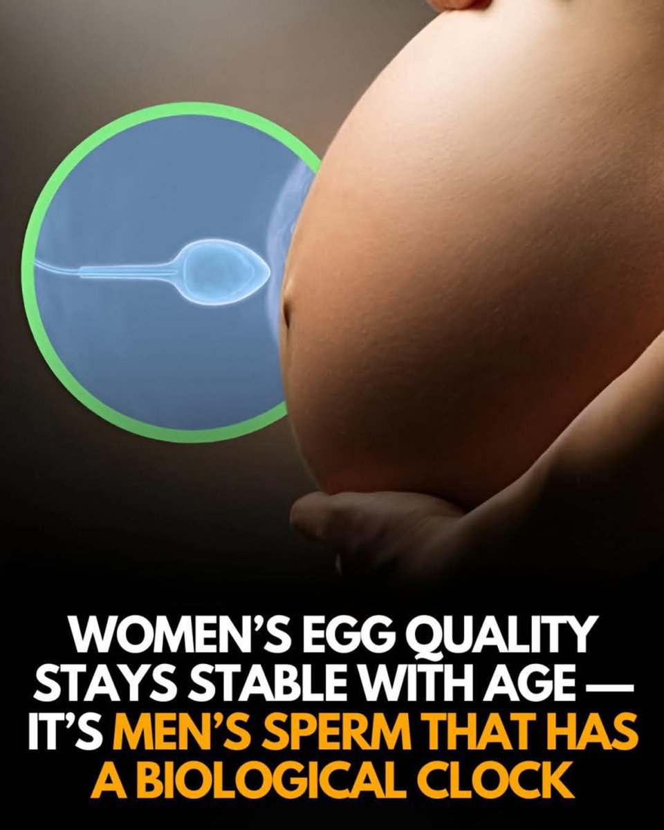 paymusclemommy's tweet image. WELL WELL WELL WELL WELL
Look who actually hits the wall! Men, better settle down young and pop out some babies before you're all used up. No woman wants dusty 30+ year old ballsacks, better grab some cats ya hags