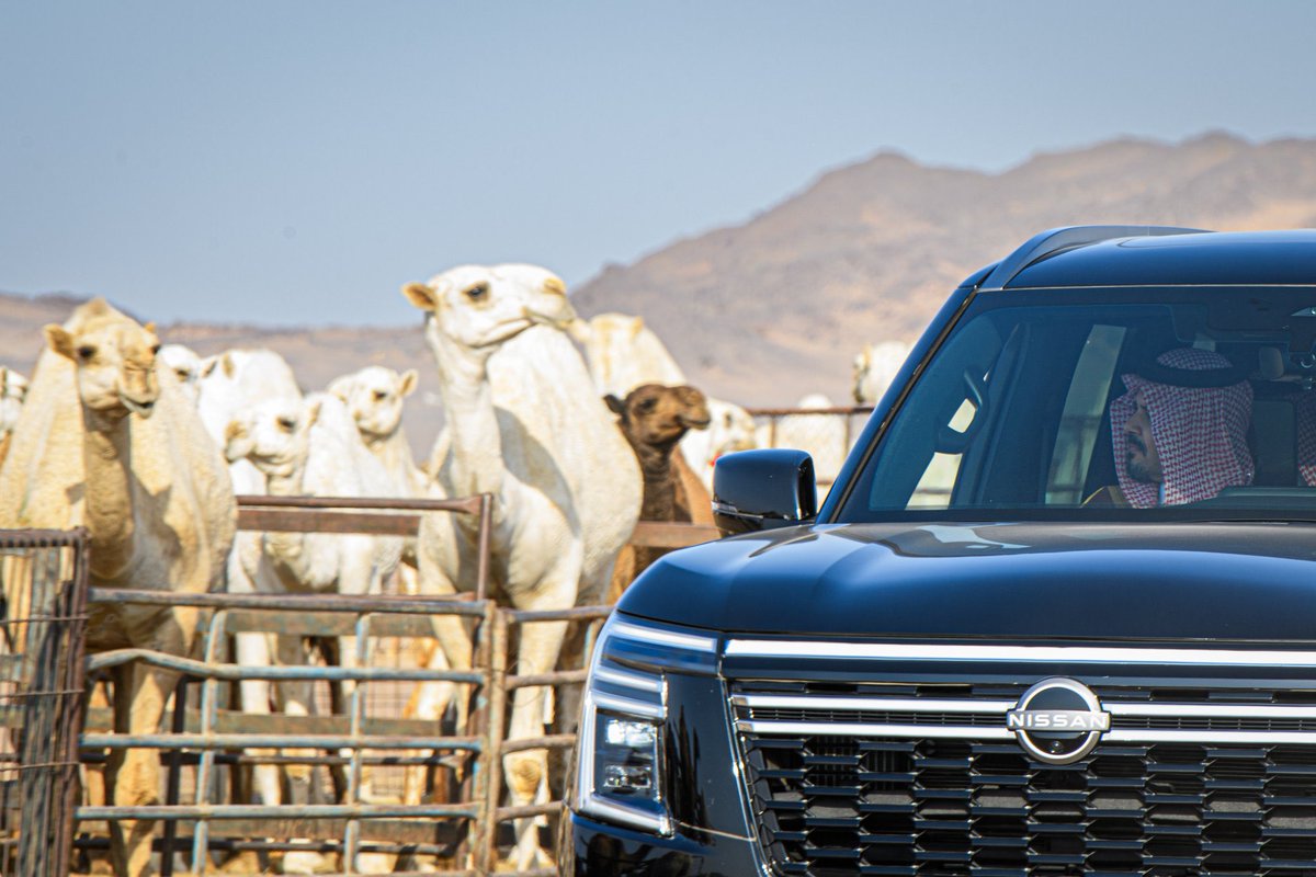 rrmii4's tweet photo. تزهاك ياسلمان بن سلطان يالمجد التليد
يالنادر اللي سيرتك تشهد لها كل البرا

ورثت من سلطان ابوك العز والراي السديد
والصمله الي تورد الضامي على العد جهرا

ما اشك في حاتم ولا اشكك بطيب بن مهيد
لكن ابوك اكرم رجل بين الثريا والثرا

#مزاد_الحناكية 
 #سلمان_بن_سلطان https://t.co/pcQRIn3dET