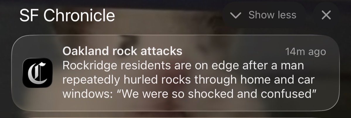 “paula” (@paularambles) on Twitter photo you’re telling me someone in rockridge is hurling rocks you’re telling me someone in rockridge is hurling rocks