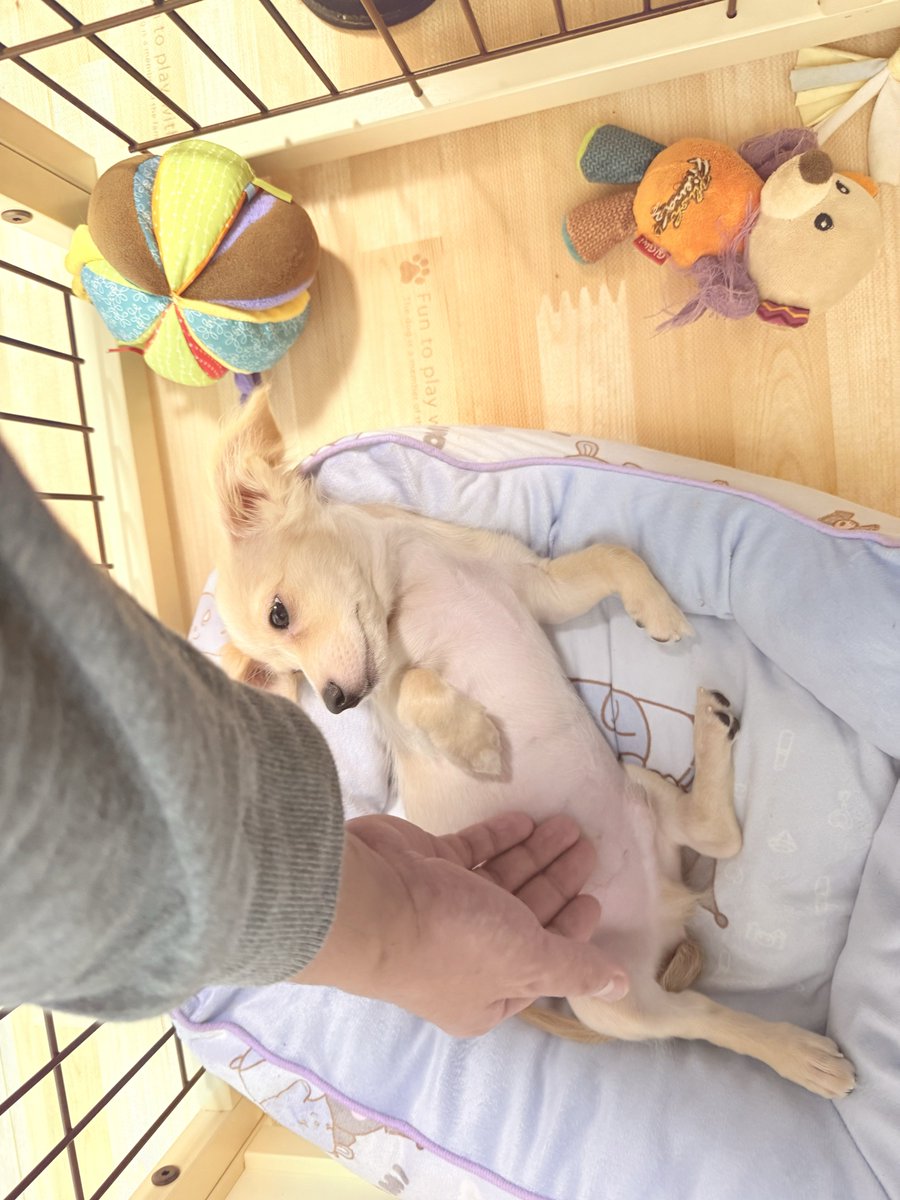 愛犬と、ふたりっきりの休日がスタートしました。