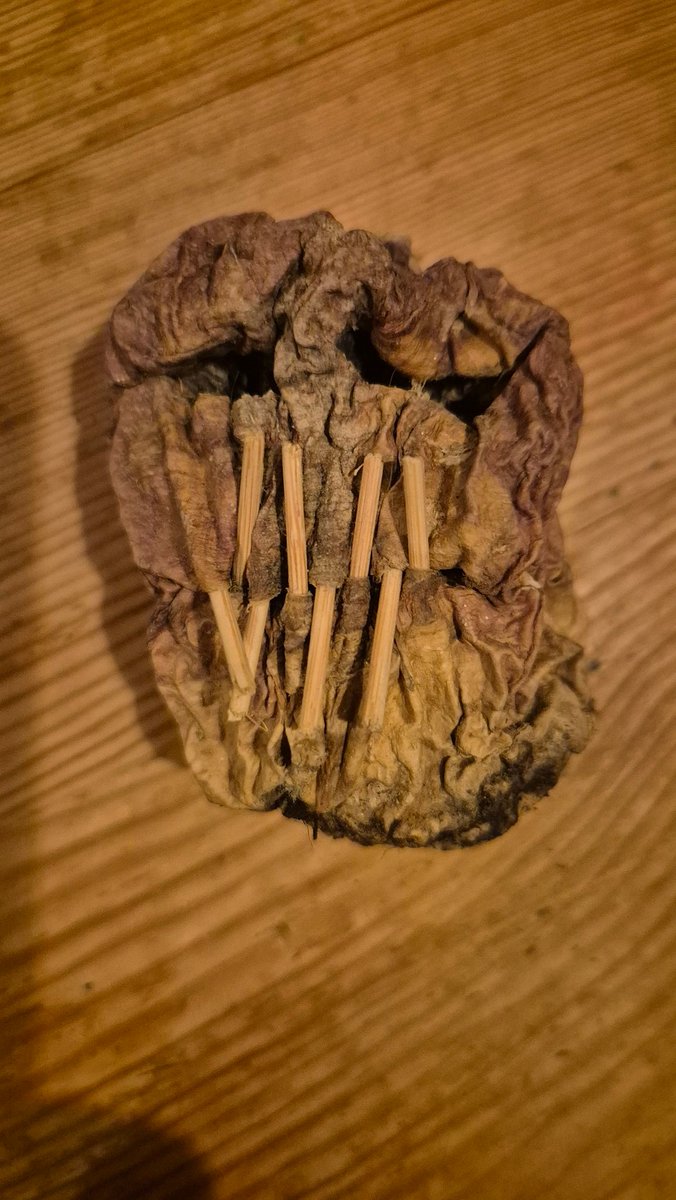 Last Halloween my daughter carved a turnip (toothpicks for teeth). A year later, it's really showing its true self.