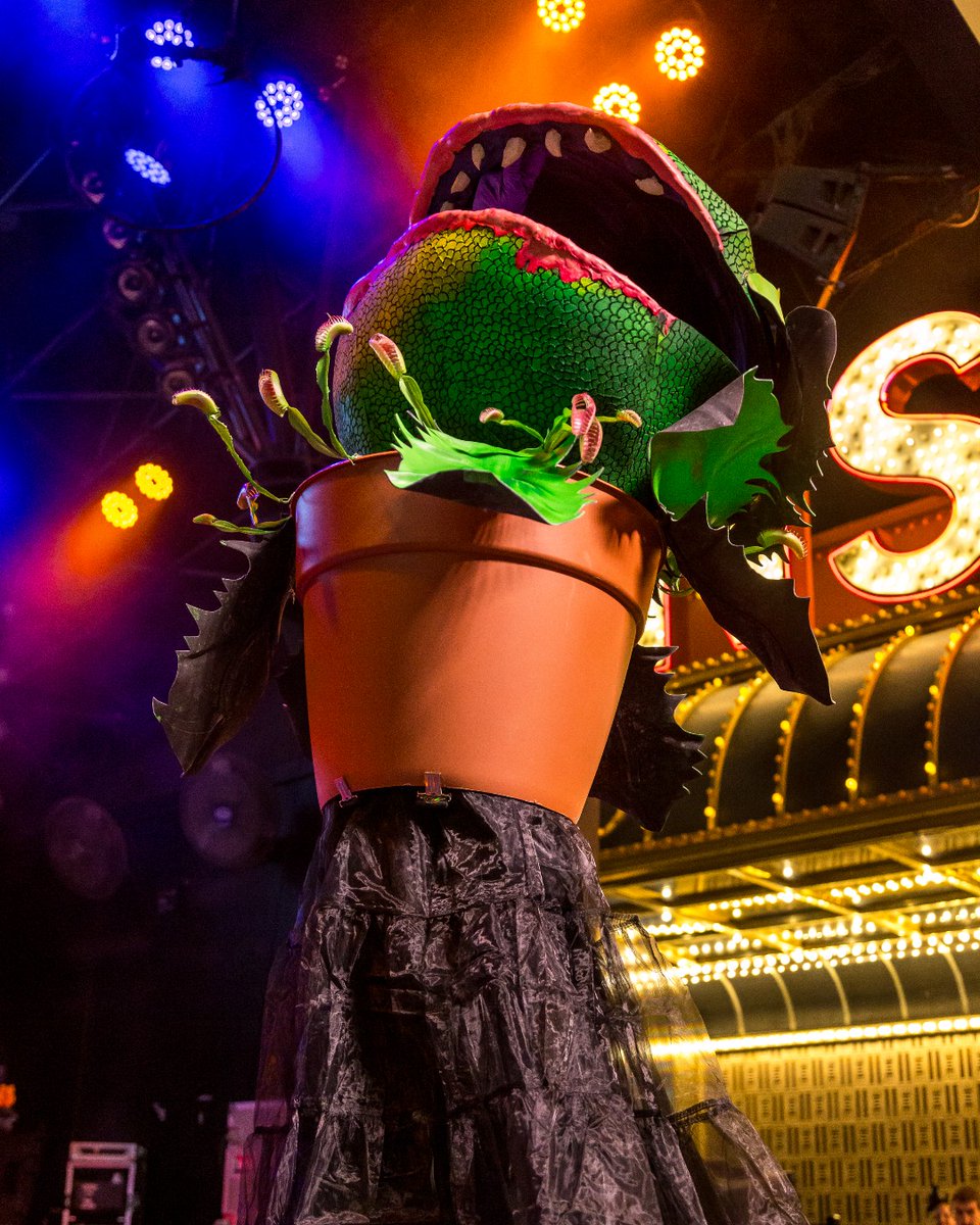 Fremont Street Exp (@fselv) on Twitter photo This isn’t your average dress-up Halloween shin-dig. The stakes are high, and the costumes are next-level. Come dressed to kill, and you could win cash money $$$.
Oct 31 | Registration 6pm | Contest 9pm This isn’t your average dress-up Halloween shin-dig. The stakes are high, and the costumes are next-level. Come dressed to kill, and you could win cash money $$$.
Oct 31 | Registration 6pm | Contest 9pm