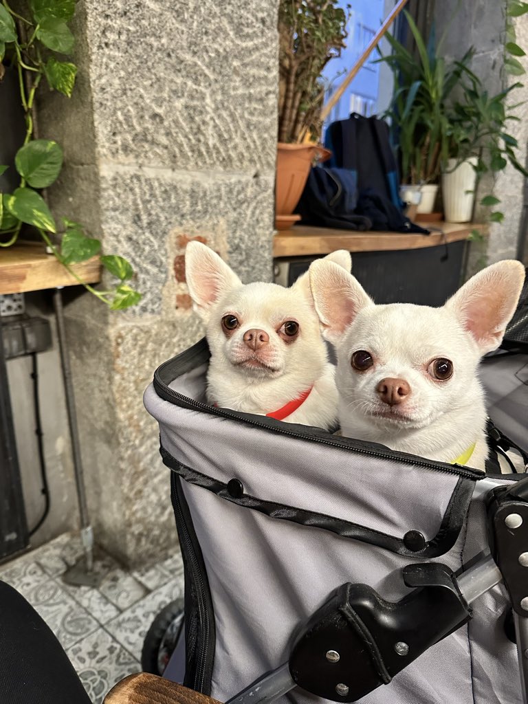 Ты - хуй
Мы твой рот ебали