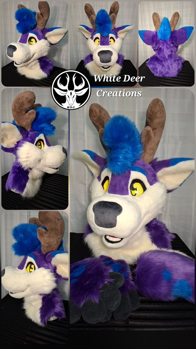 creations_deer's tweet photo. Meet Delo 🦌🌹
 A very toony deer sent home to Italy a few months ago ✈️🌟

#fursuit https://t.co/R8ZkSh0okk