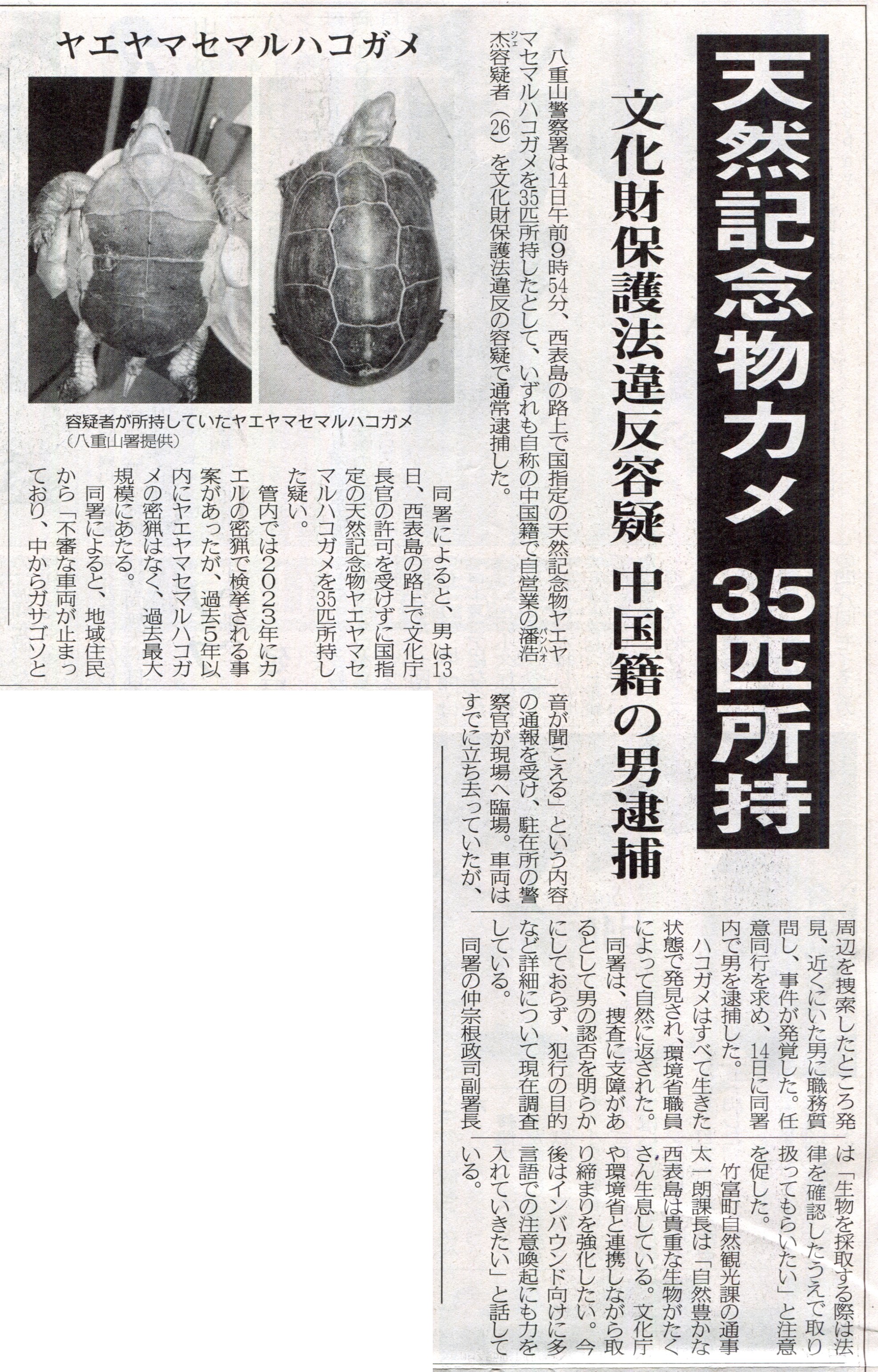 おきしま (@papilio_memnon) / X