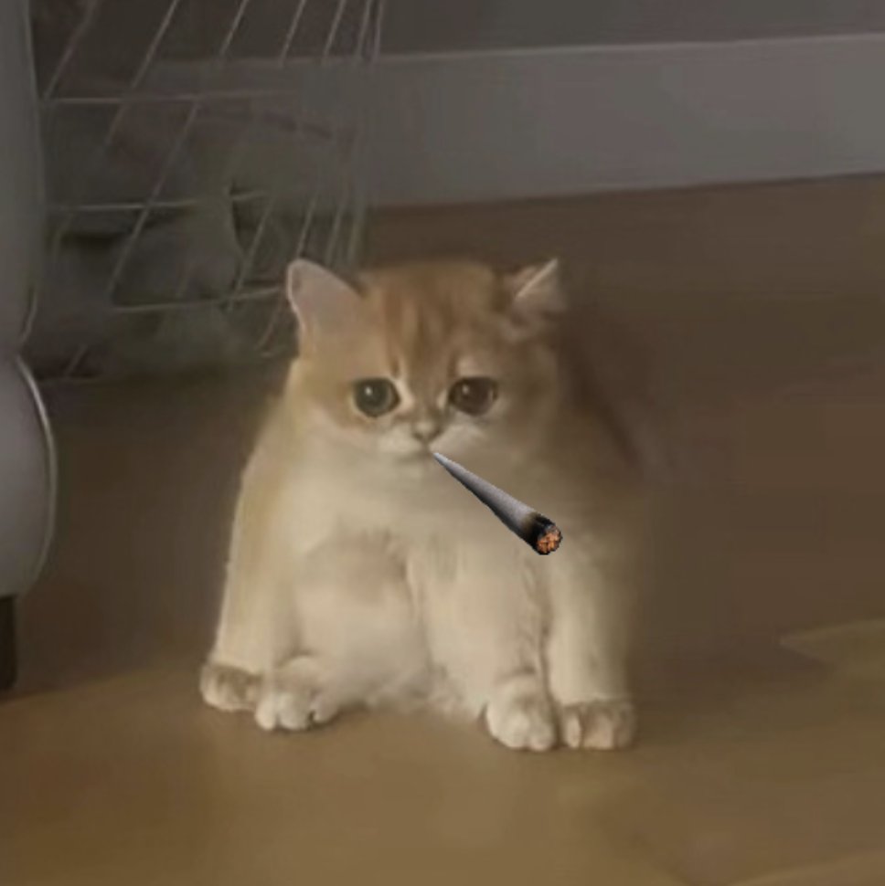 100y (@yan100yan) on Twitter photo 