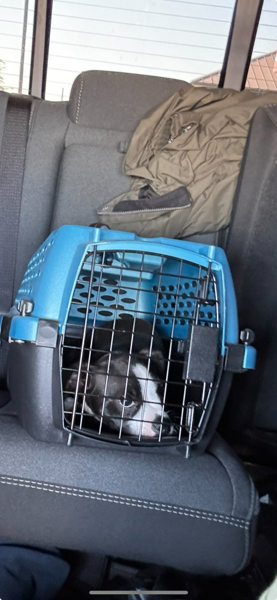 Chief Eddie Garcia tweet media