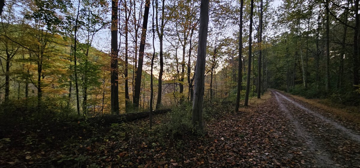 dons.eth tweet media