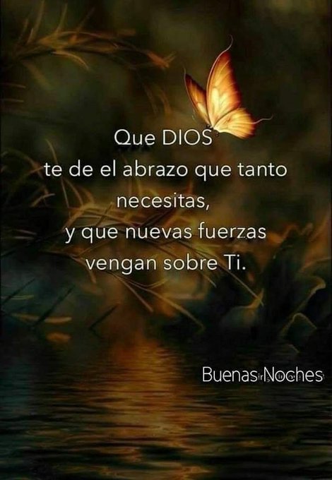 A vibrant orange and black butterfly with wings spread open positioned centrally against a blurred dark green and brown natural background resembling foliage. Overlay text in white reads Que DIOS te del abrazo que tanto necesitas, y que nuevas fuerzas vengan sobre ti. Additional text at the bottom says Buenas noches.