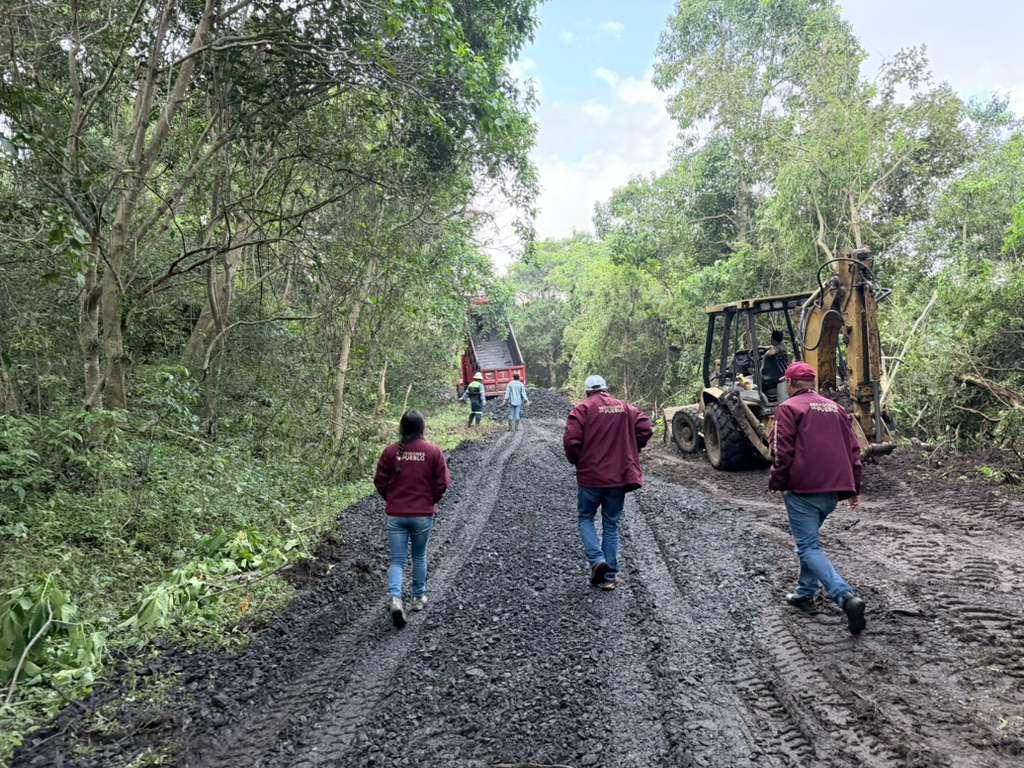 juliomenchaca_'s tweet image. Continuamos con los trabajos para abrir los caminos afectados por deslaves y derrumbes.
Hasta el momento, hemos habilitado 117 vialidades para dar paso total o parcial.
#HidalgoUnido
#PrimeroElPueblo