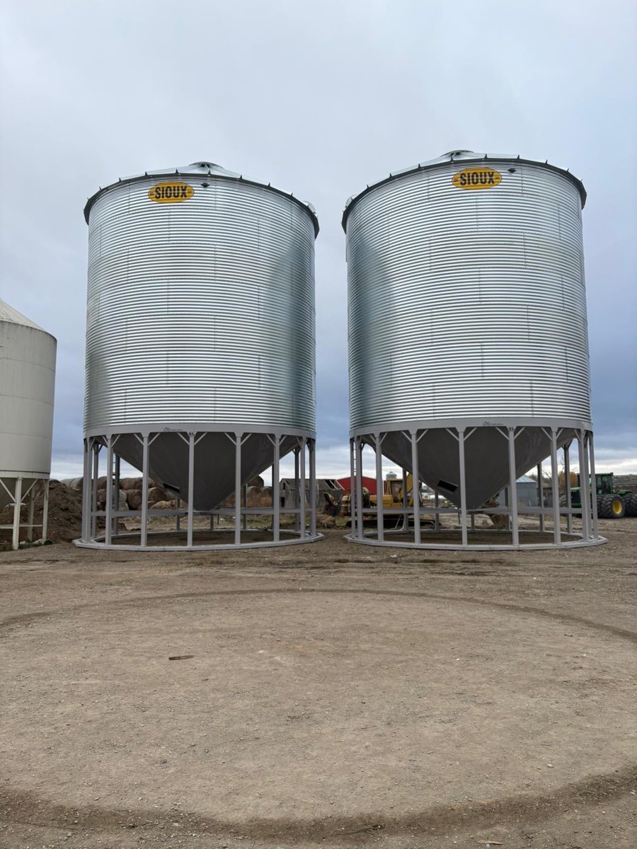 Henry Wiebe tweet media