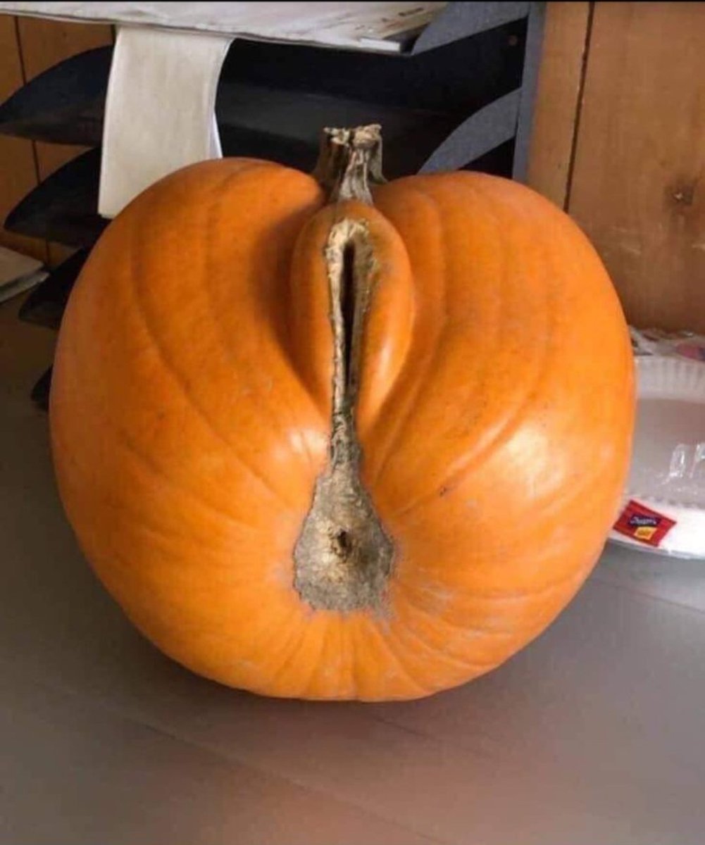 Fall is my favorite season. I think I picked a pretty good one this year.