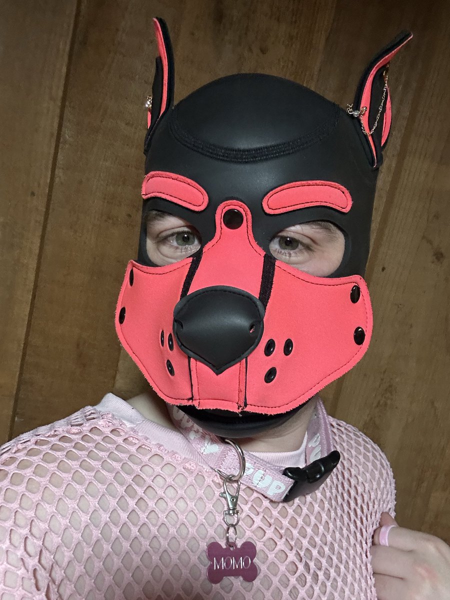 DeathWolfDude's tweet photo. Had an amazing time being puppy at camp this past weekend https://t.co/OfogKSbQy2