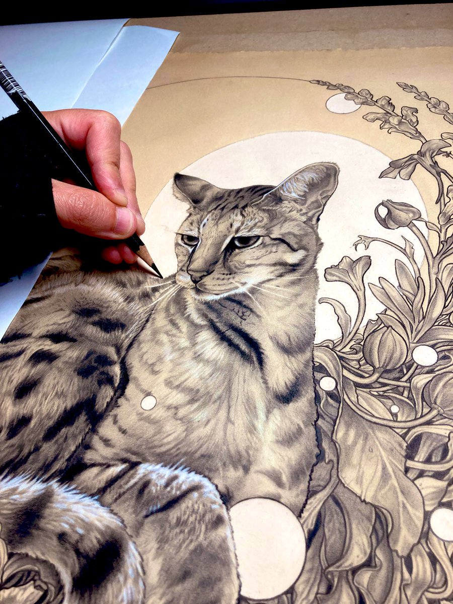 EntennStudio's tweet image. More on how it’s going. #darkart #felineart #entenn #cats