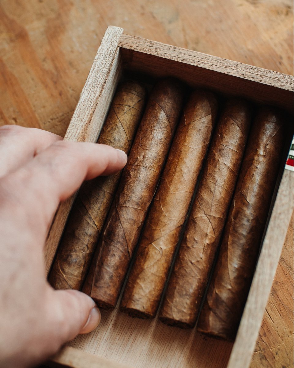 Not every cigar needs to be bold to make a statement.

Our mild cigars are crafted for smoothness, balance, and approachability, perfect for guests who want to enjoy the experience without the intensity of a full-bodied smoke. 🌿