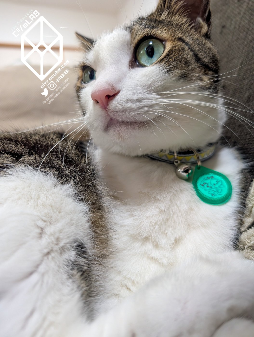 輝竜司 | Tsukasa Kiryu on X: 