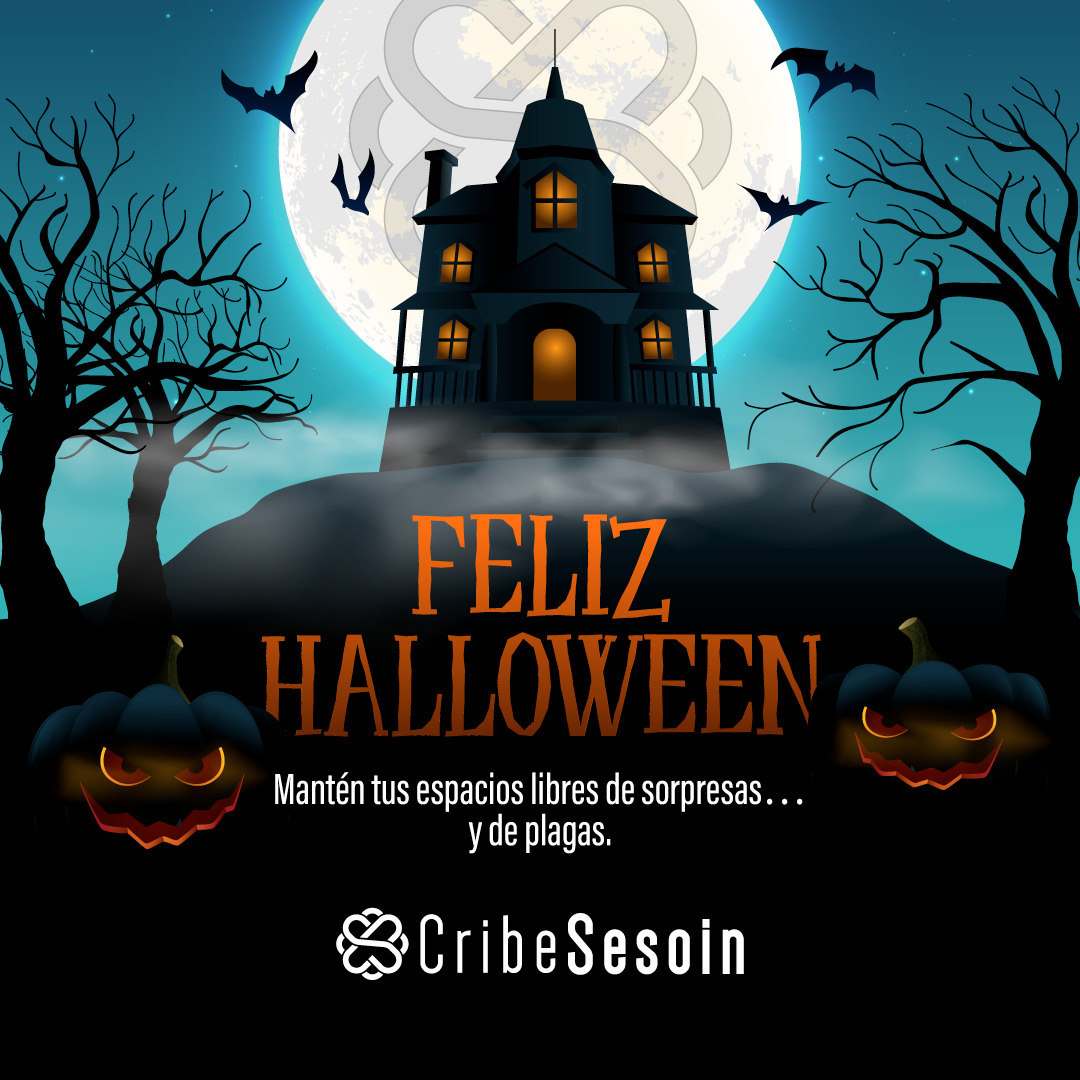 CribeSesoin's tweet photo. ¡Feliz Halloween! 🎃 Mantén tus espacios libres de sorpresas… y de plagas. Celebra Halloween con espacios limpios y seguros. CRIBE SESOIN te protege de sorpresas indeseadas. #CribeSesoin #Halloween #Plagas #Seguridad https://t.co/iB2oZtdlKa